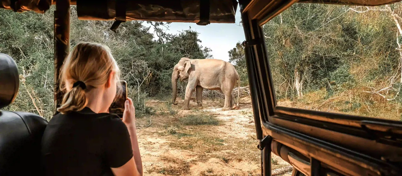Jeep Safari