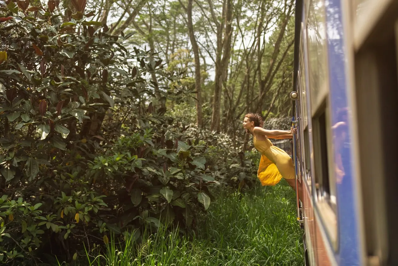 Train Rides