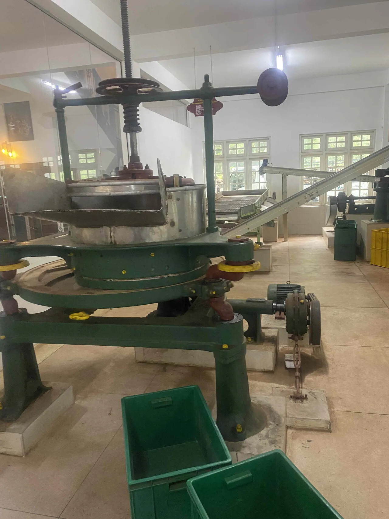 Tea Factory Visit