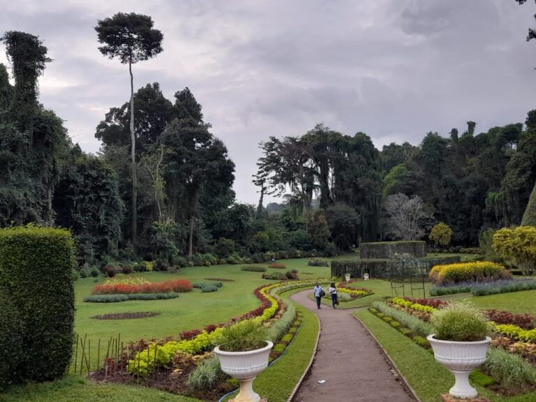Peradeniya Botanical garden