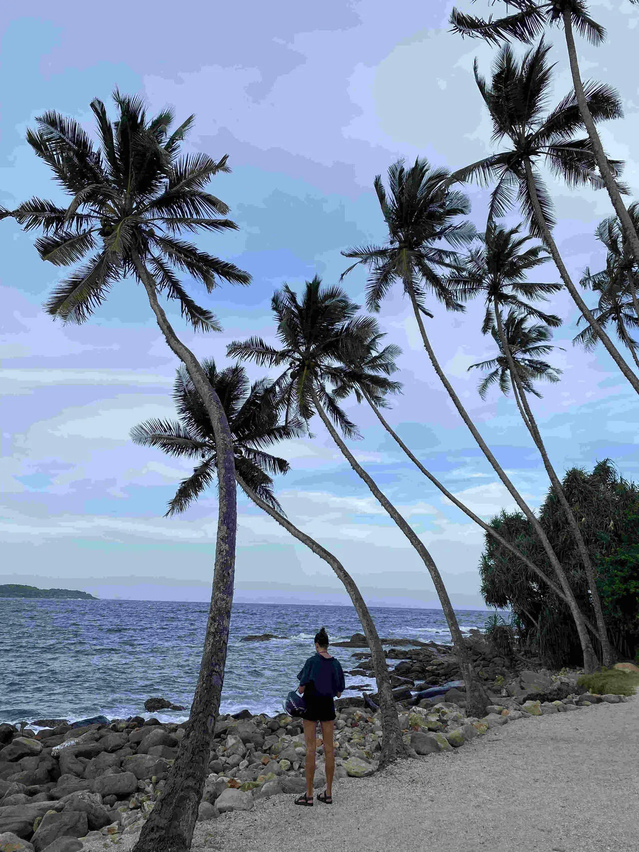 Beaches