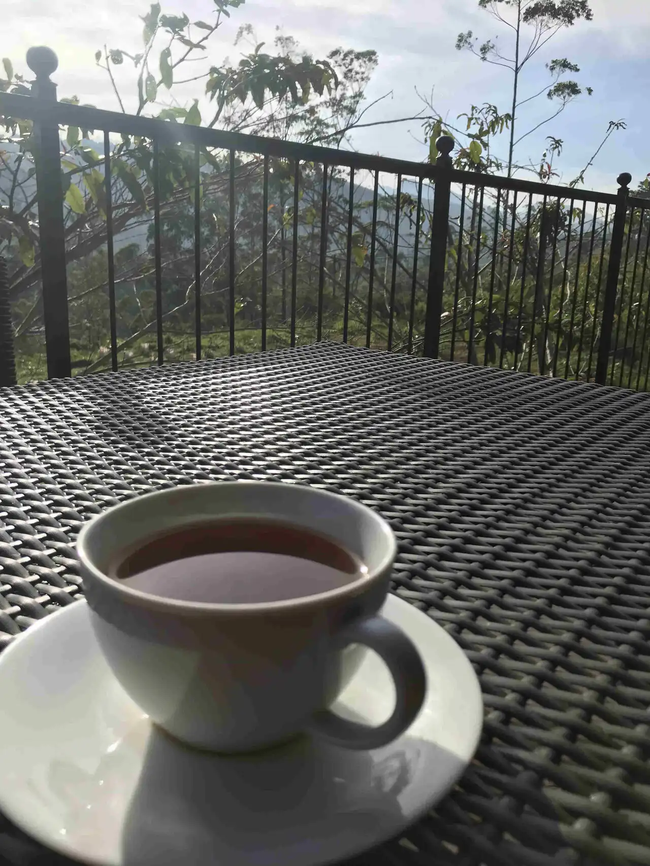 Ceylon Tea