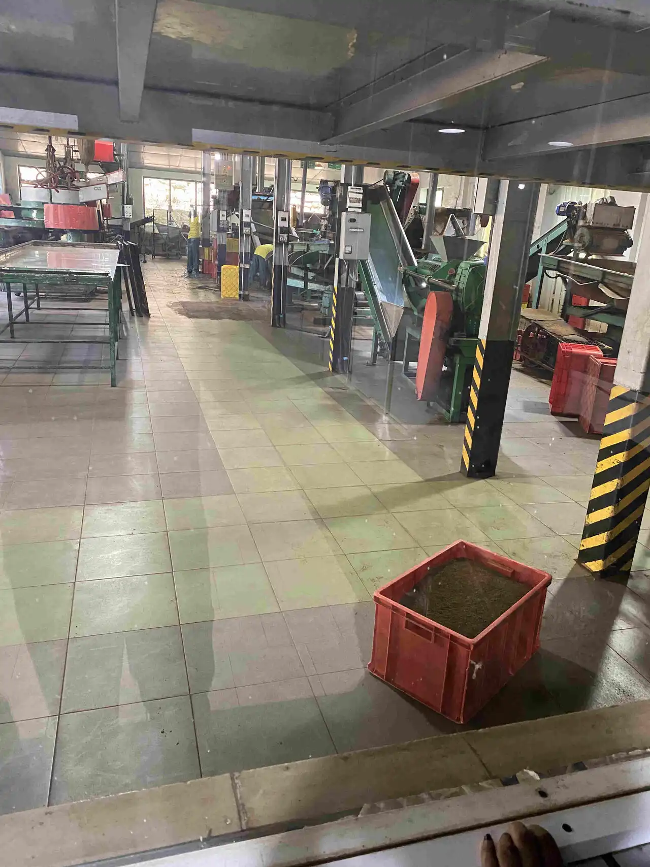 Tea Factory