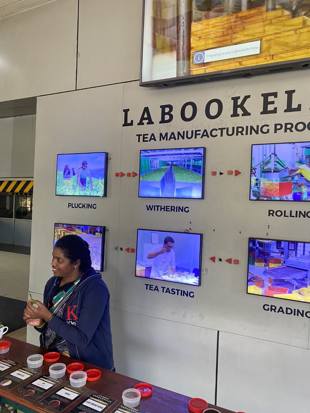 Tea Factory