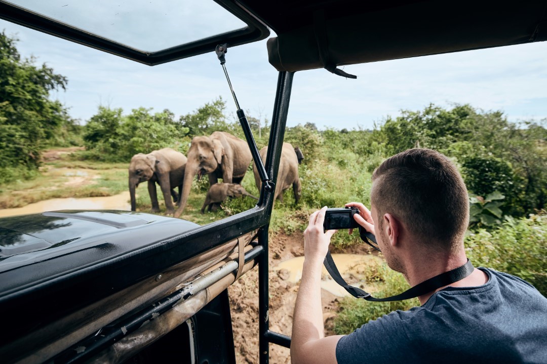 Jeep Safari