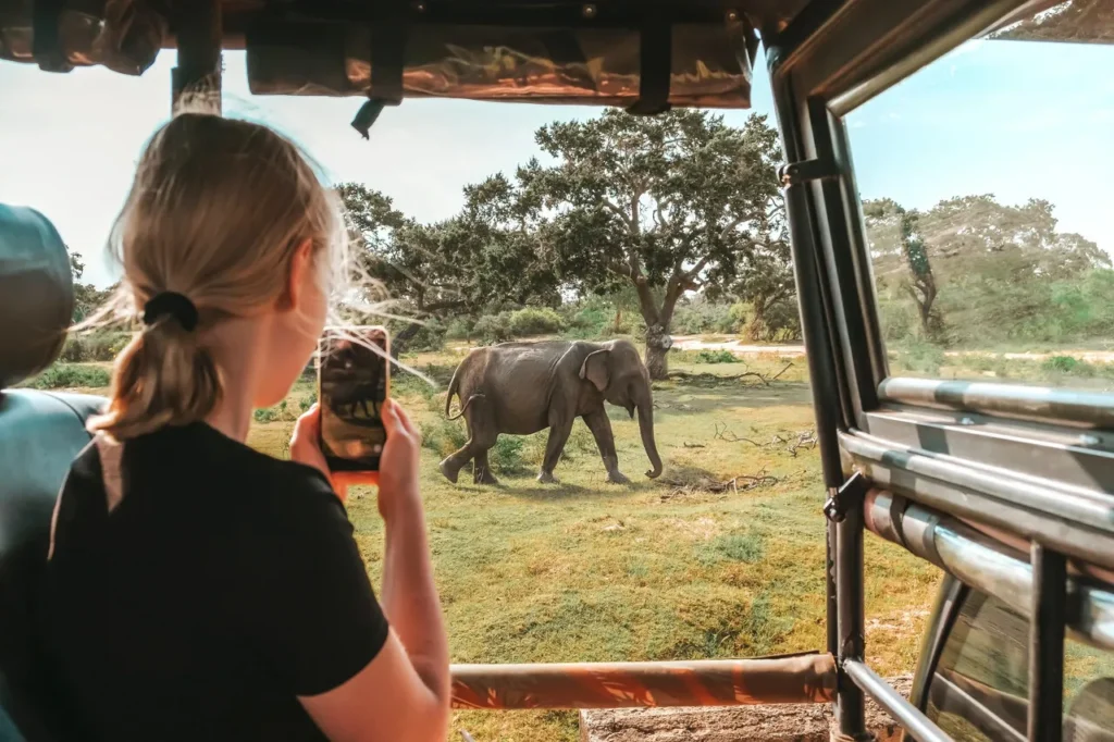 Yala Safari Sri Lanka